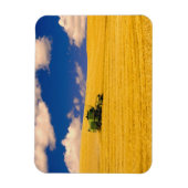 アメリカ合衆国，ワシントン州，パルーズ地方， マグネット (縦)