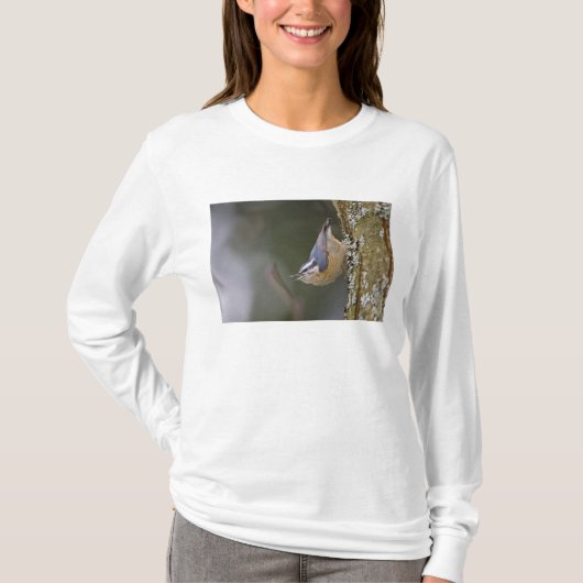 アメリカ合衆国, ワシントン州, ムクレハシバシ Tシャツ (正面)