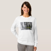 アメリカ合衆国, ワシントン州, レイニア山国立公園, ナラダ滝 Tシャツ (正面フル)