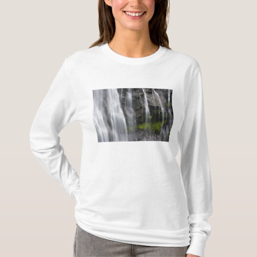 アメリカ合衆国, ワシントン州, レイニア山国立公園, ナラダ滝 Tシャツ (正面)