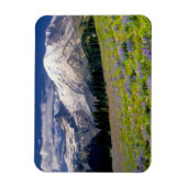 アメリカ合衆国 ワシントン州 レイニア山国立公園 マグネット (縦)