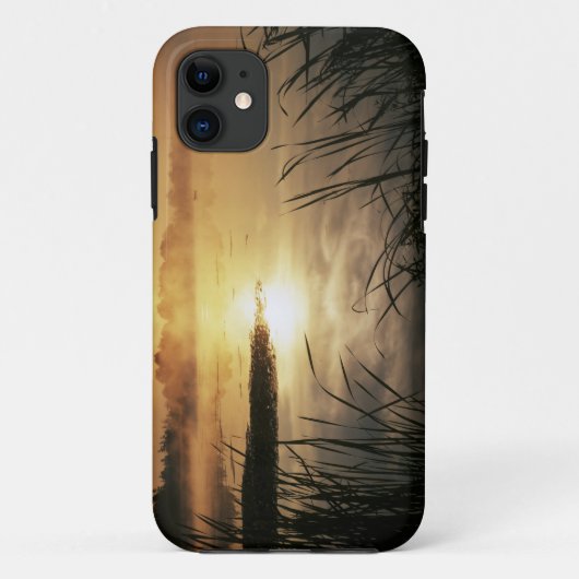 アメリカ合衆国, ワシントン州, ロペス島, 朝霧 Case-Mate iPhoneケース (裏面)