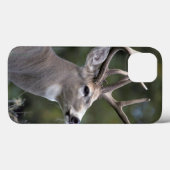 アメリカ合衆国，ワシントン州，尾の白い鹿， Case-Mate iPhoneケース (裏面 (横))