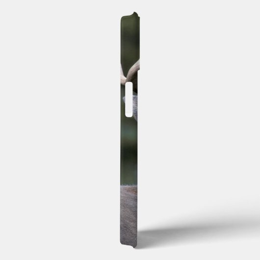 アメリカ合衆国，ワシントン州，尾の白い鹿， Case-Mate iPhoneケース (裏面 / 右)