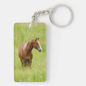 アメリカ合衆国, ワシントン州, 春の牧場の馬 キーホルダー (裏面)