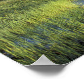 アメリカ合衆国，ワシントン，レイニエ山ナショナル5 ポスター (角)