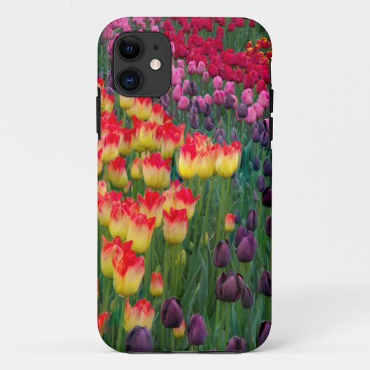 アメリカ合衆国, ワシントン。咲き誇るチューリップ 2 Case-Mate iPhoneケース (裏面)