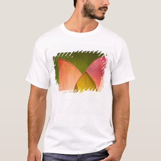 アメリカ合衆国、ワシントンD.C.、ワシントン、ケニルワース3 Tシャツ (正面)