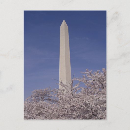 アメリカ合衆国，ワシントンDC.ワシントン ポストカード (正面)