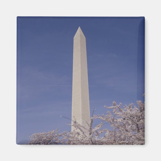 アメリカ合衆国，ワシントンDC.ワシントン マグネット (正面)