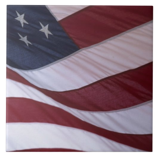 アメリカ合衆国 北カロライナ州 アメリカ国旗 タイル (正面)