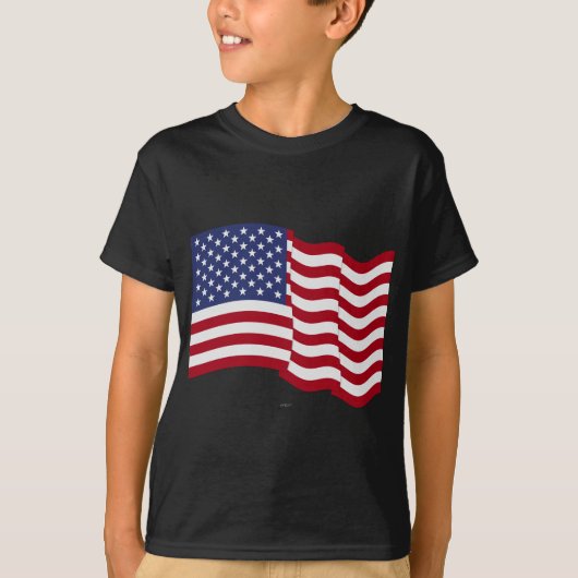 アメリカ国旗がなびく Tシャツ (正面)