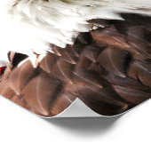 アメリカ国旗とハゲのワシ ポスター (角)