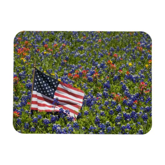 アメリカ国旗とルピナスの青い花畑 2 マグネット (横)