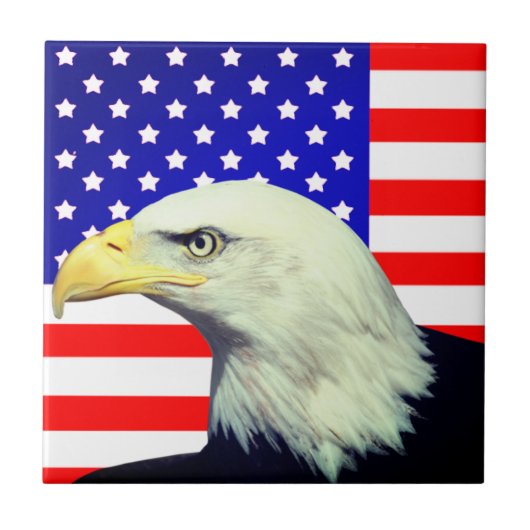 アメリカ国旗とワシの飾り瓦 タイル (正面)