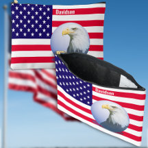 アメリカ国旗とワシ