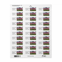 アメリカ国旗と十字