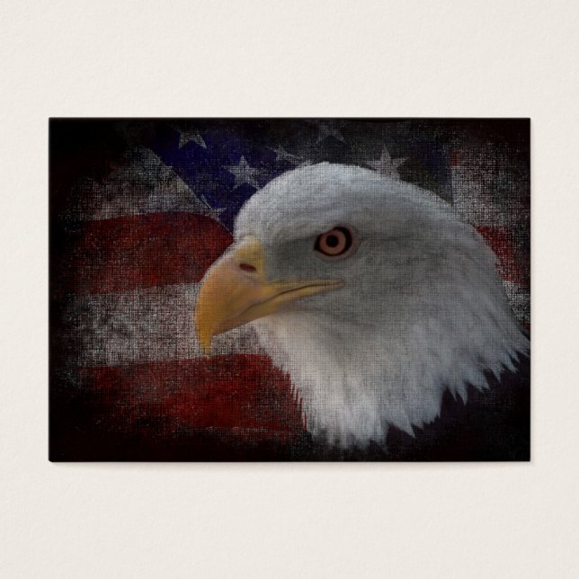アメリカ国旗にハゲのワシ (正面)