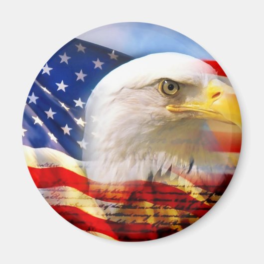 アメリカ国旗のハゲワシ マグネット (正面)