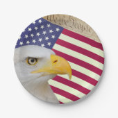 アメリカ国旗のプレート、私たちザ・ピープル/アメリカ ペーパープレート (正面)