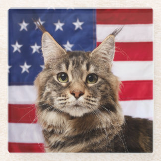 アメリカ国旗のメインクーン猫 ガラスコースター