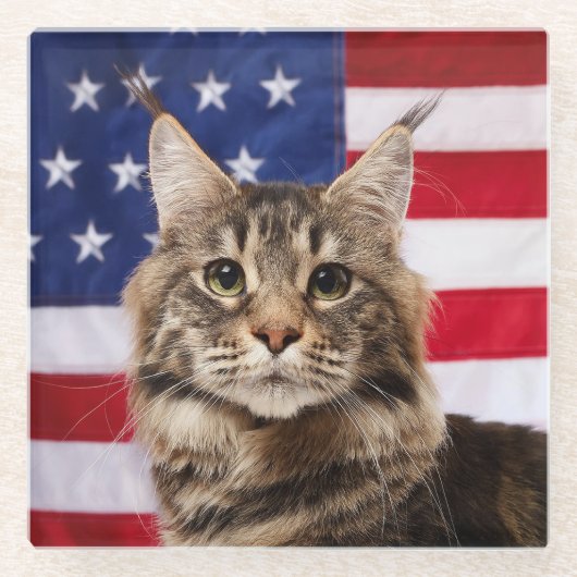 アメリカ国旗のメインクーン猫 ガラスコースター (正面)