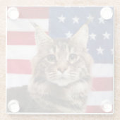 アメリカ国旗のメインクーン猫 ガラスコースター (裏面)
