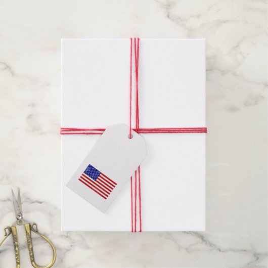 アメリカ国旗の愛国的なアメリカのギフトラベル ギフトタグ (より糸付き)