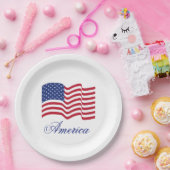 アメリカ国旗の愛国的な紙プレート ペーパープレート (パーティー)