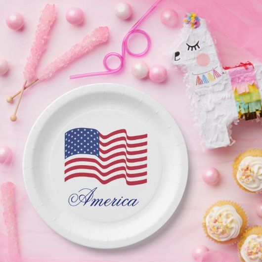アメリカ国旗の愛国的な紙プレート ペーパープレート (パーティー)