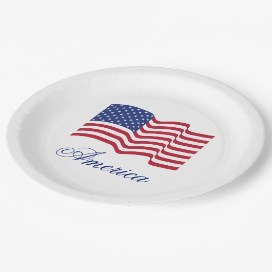 アメリカ国旗の愛国的な紙プレート ペーパープレート (アングル)