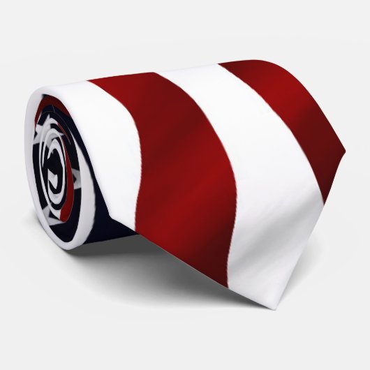 アメリカ国旗の愛国的独立記念日 ネクタイ (ロール)