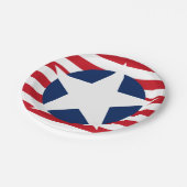 アメリカ国旗の星とストライプ愛国心 ペーパープレート (アングル)