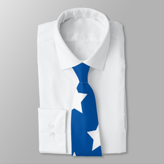 アメリカ国旗の星 ネクタイ (タイ)