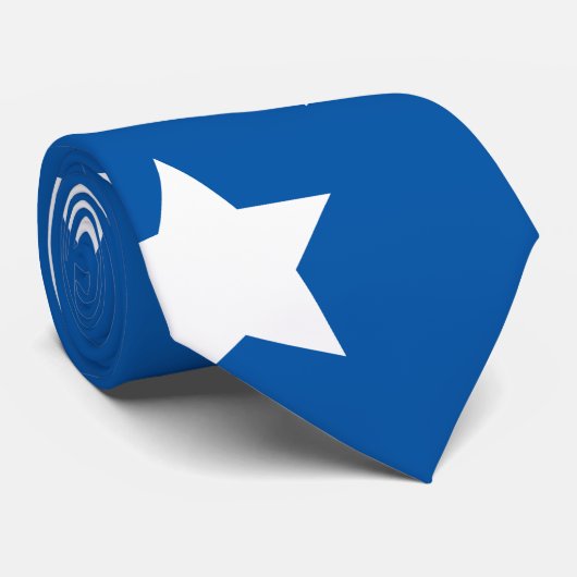 アメリカ国旗の星 ネクタイ (ロール)