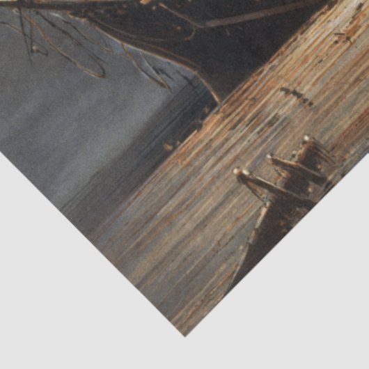 アメリカ国旗の火に反乱軍の内戦の旗艦 薄葉紙 (詳細)