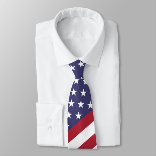 アメリカ国旗の男性のネクタイ ネクタイ (タイ)