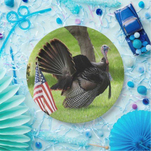 アメリカ国旗を持つオスの野生のトルコ紙プレート ペーパープレート (パーティー)