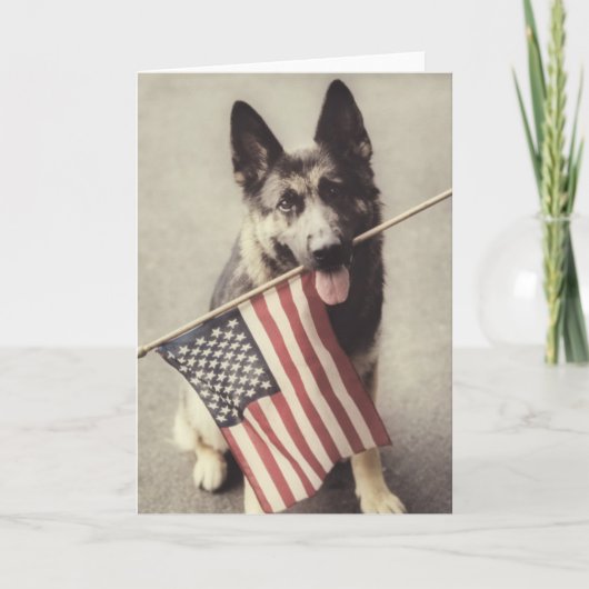 アメリカ国旗を掲げたドイツの羊飼い カード (正面)