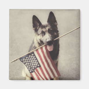アメリカ国旗を掲げたドイツの羊飼い マグネット
