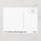 アメリカ国旗を掲げたハゲ・イーグル ポストカード (裏面)