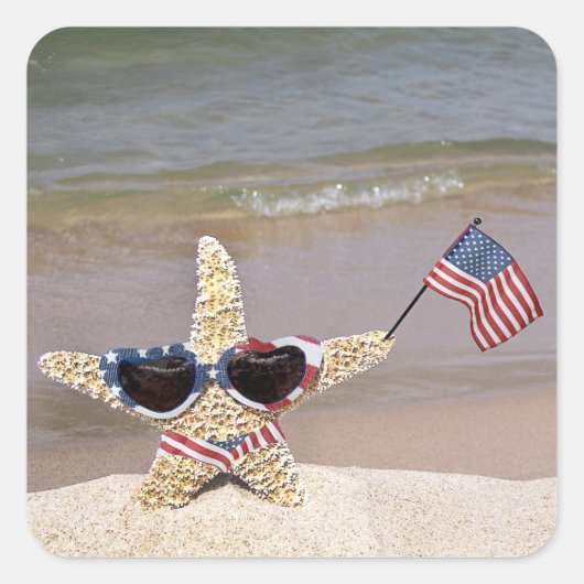 アメリカ国旗を掲げたヒトデ スクエアシール (正面)
