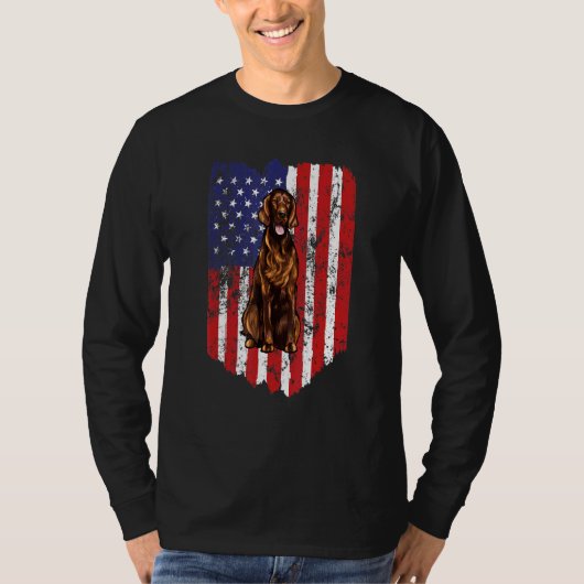 アメリカ国旗を立てる アイリッシュ USA Tシャツ (正面)