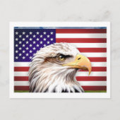 アメリカ国旗イーグル愛国米国はがき ポストカード (正面)