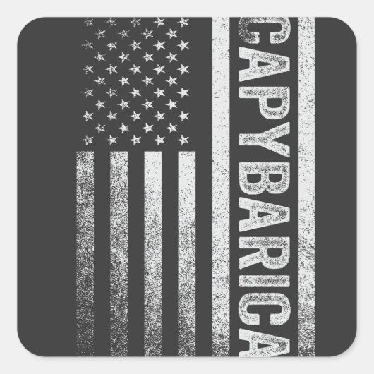 アメリカ国旗キャピバラおもしろい恋人キャピバリカ4日 スクエアシール (正面)
