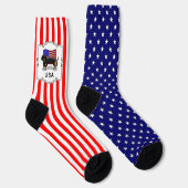 アメリカ国旗ダシュントダックスフンド（黒・褐色） ソックス (右)