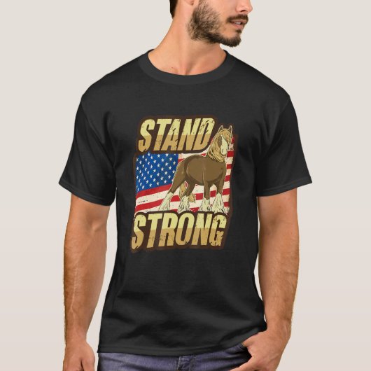 アメリカ国旗デザインのドラフトホースミーム Tシャツ (正面)