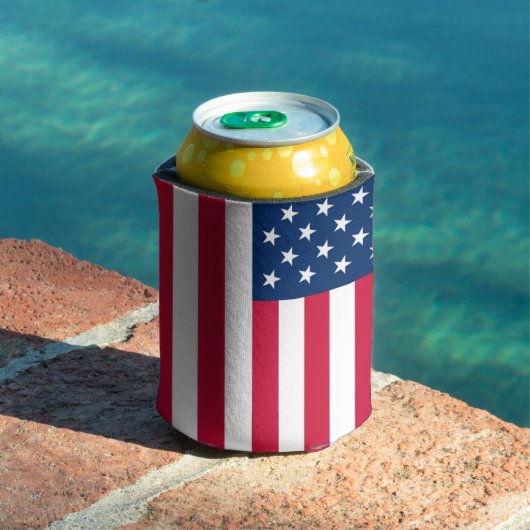 アメリカ国旗付きの缶クーラー 缶クーラー (インサイチュ プール)