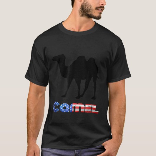 アメリカ国旗風 Tシャツ (正面)