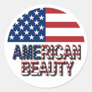 アメリカ国旗 – アメリカの美しいシール ラウンドシール